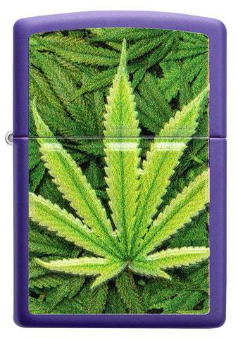 Zippo Feuerzeug Frontansicht lila matt mit Abbildung von Cannabis Pflanzen