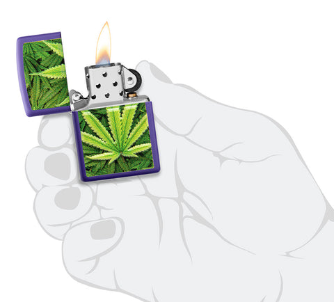 Zippo Feuerzeug Frontansicht lila matt geöffnet und angezündet mit Abbildung von Cannabis Pflanzen in stilistischer Hand